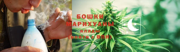 прущие грибы Майский