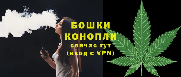 прущие грибы Майский