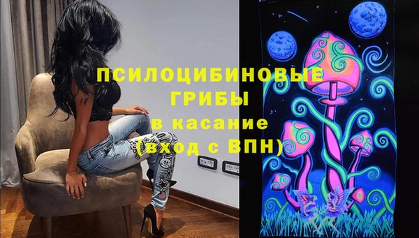 прущие грибы Майский
