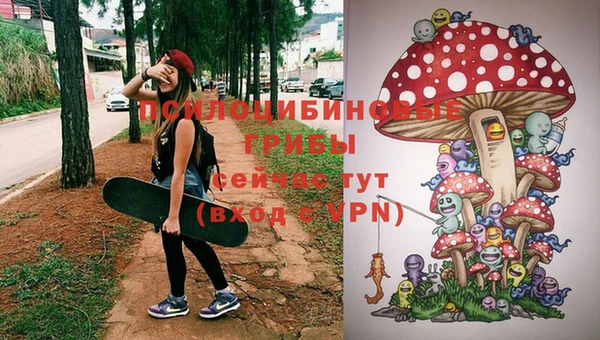 прущие грибы Майский