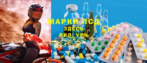 прущие грибы Майский