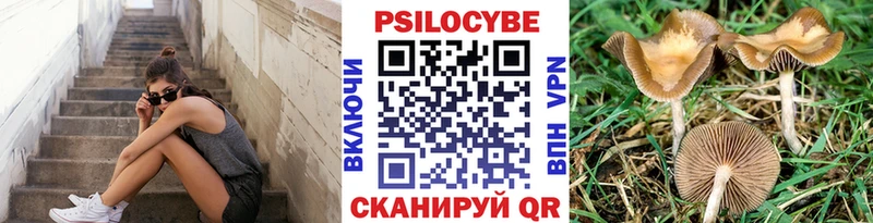 Псилоцибиновые грибы мицелий  Шарья 
